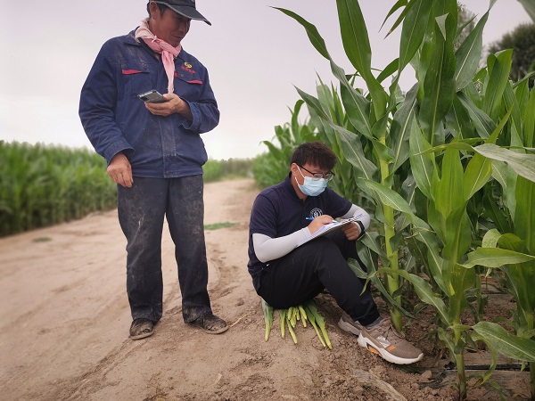 0f045a2fb8b247c6b79c41978dd77c69.jpg 1.jpg