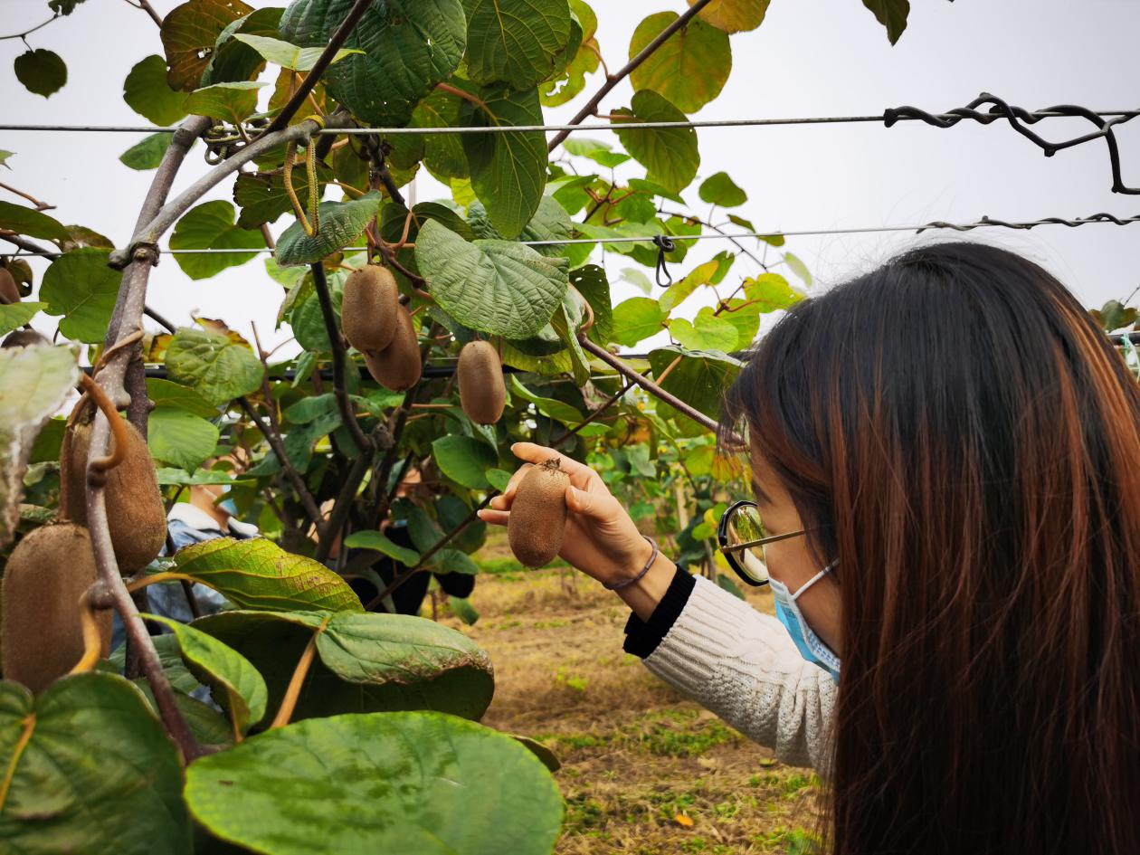 6eb8974e3f78493a8b4cc178920f2ae0.png 6eb8974e3f78493a8b4cc178920f2ae0.png