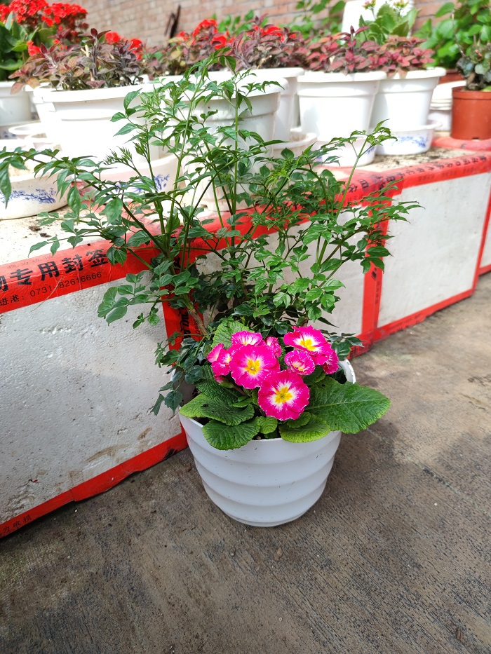 53cca741feb84163ac0f20b9a3d35890.jpg 53cca741feb84163ac0f20b9a3d35890.jpg